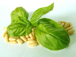 basil leaves benefits for hair, skin and health